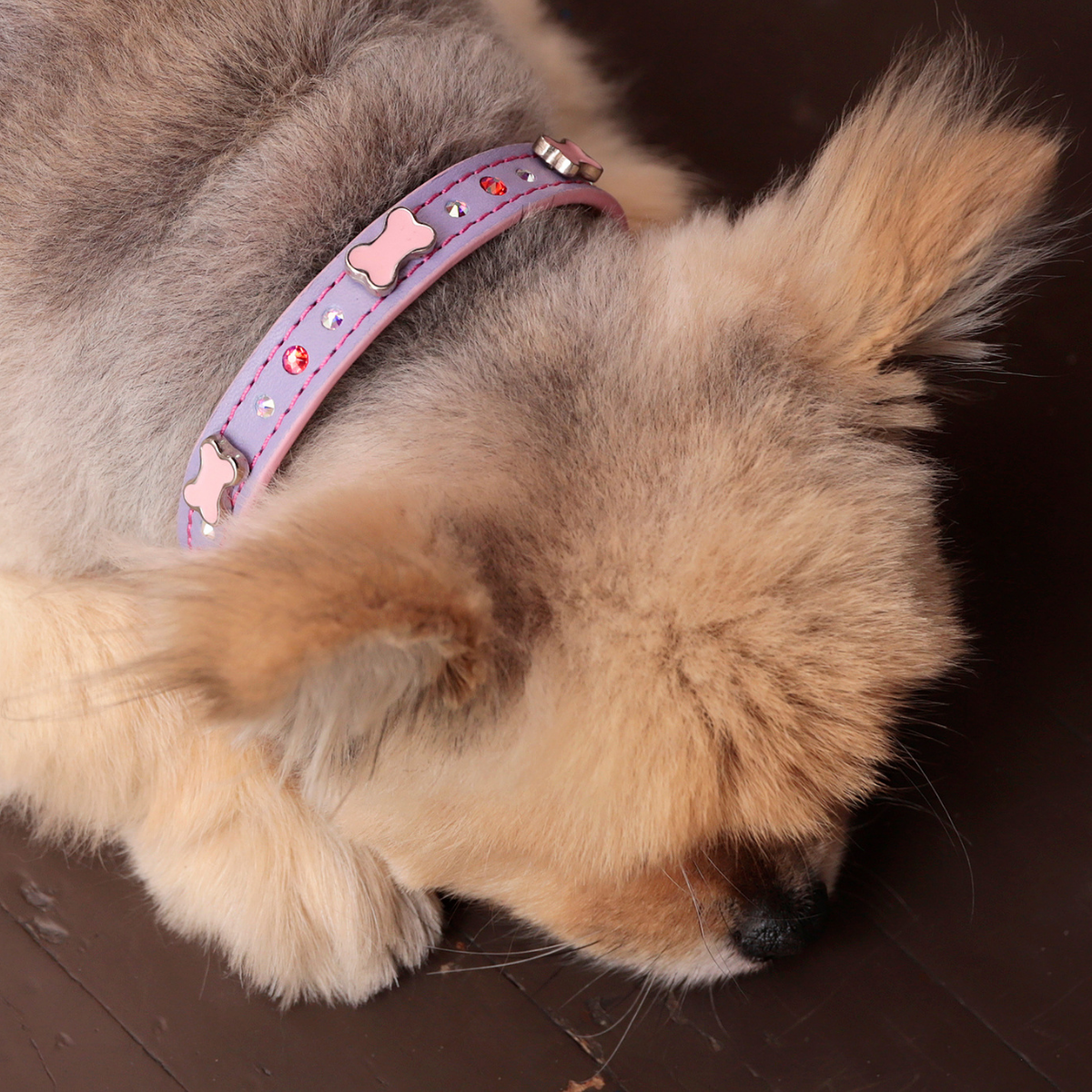 Collar Hueso Lila