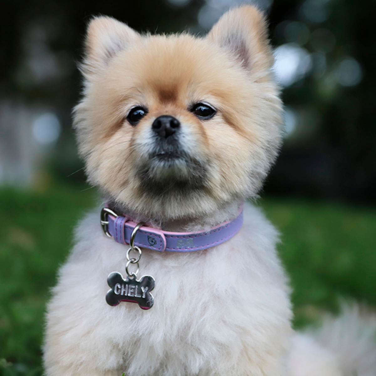 Collar Hueso Lila