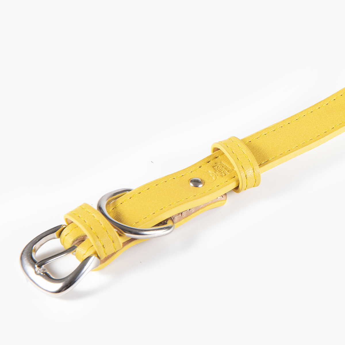 Collar de Identificación Personalizado Amarillo