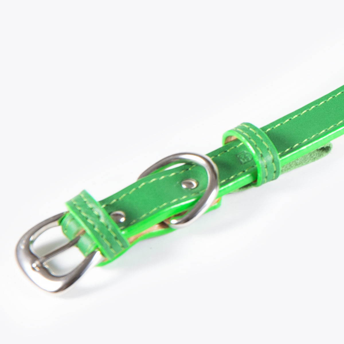 Collar de Identificación Personalizado Verde