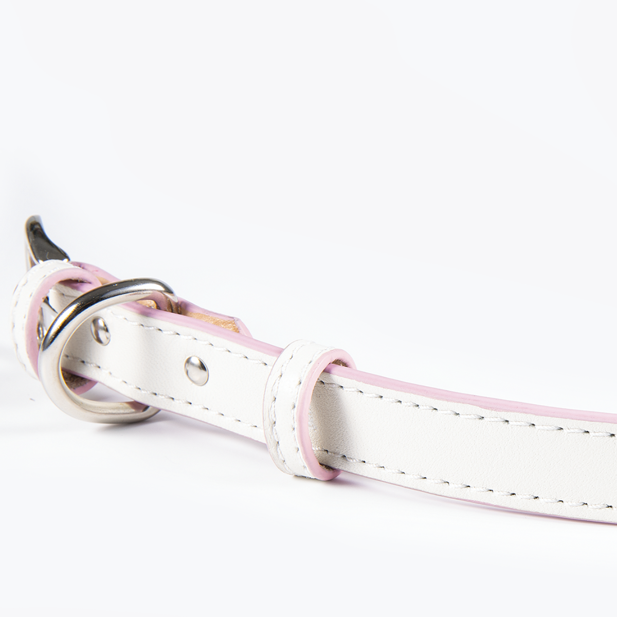 Collar de Identificación Personalizado Blanco
