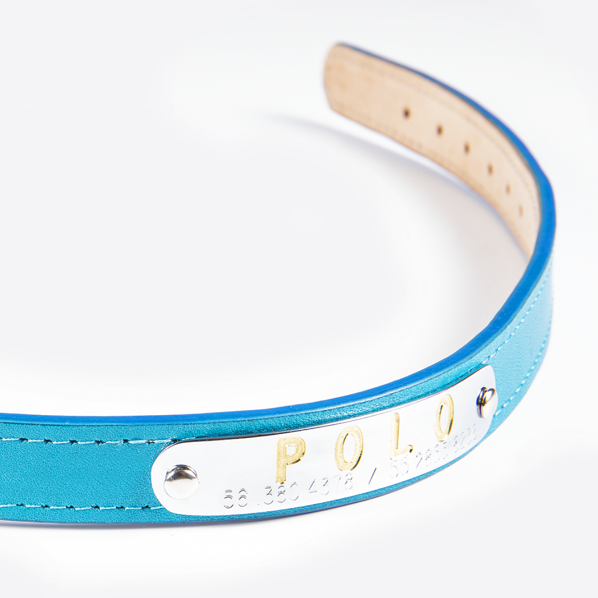 Collar de Identificación Personalizado Turquesa