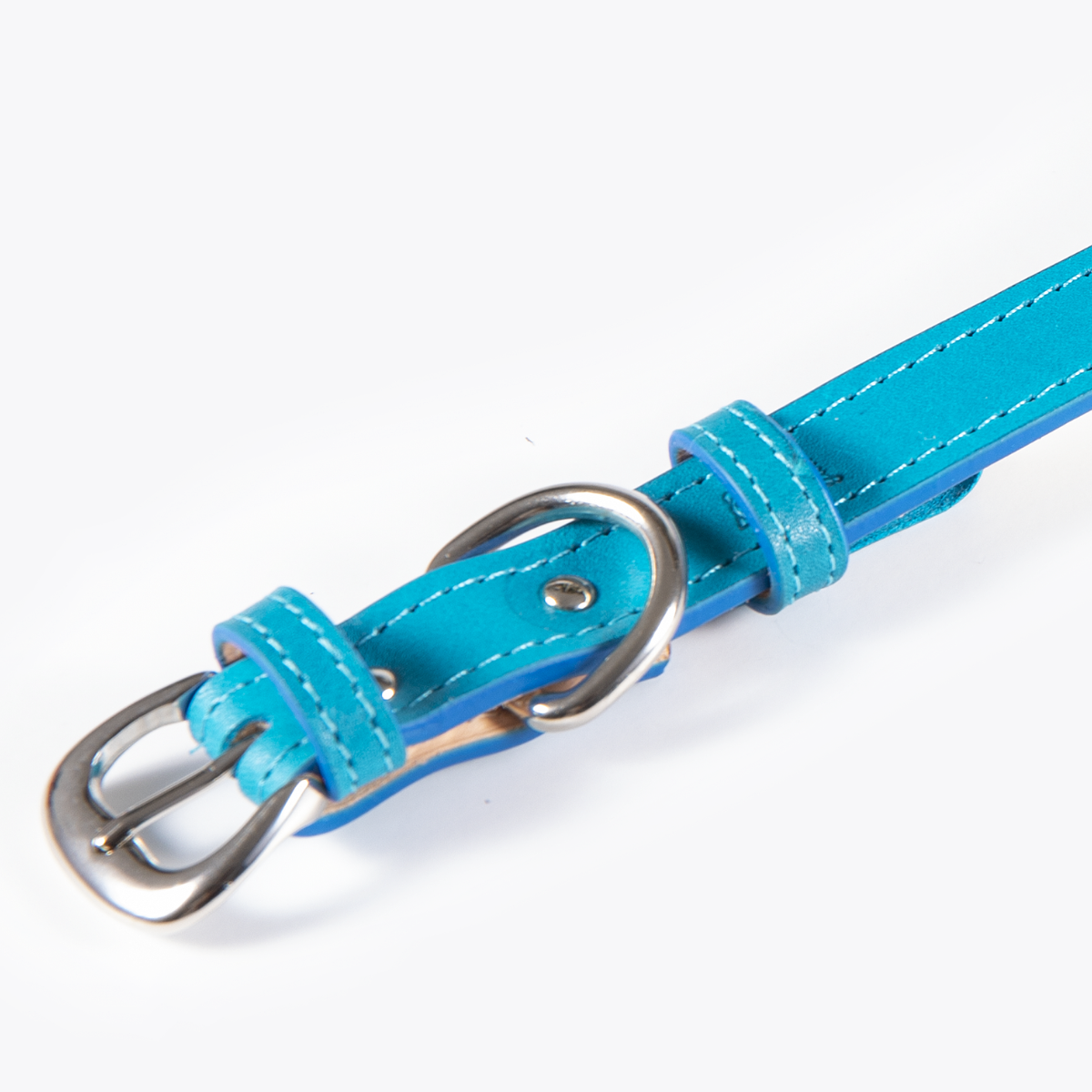 Collar de Identificación Personalizado Turquesa