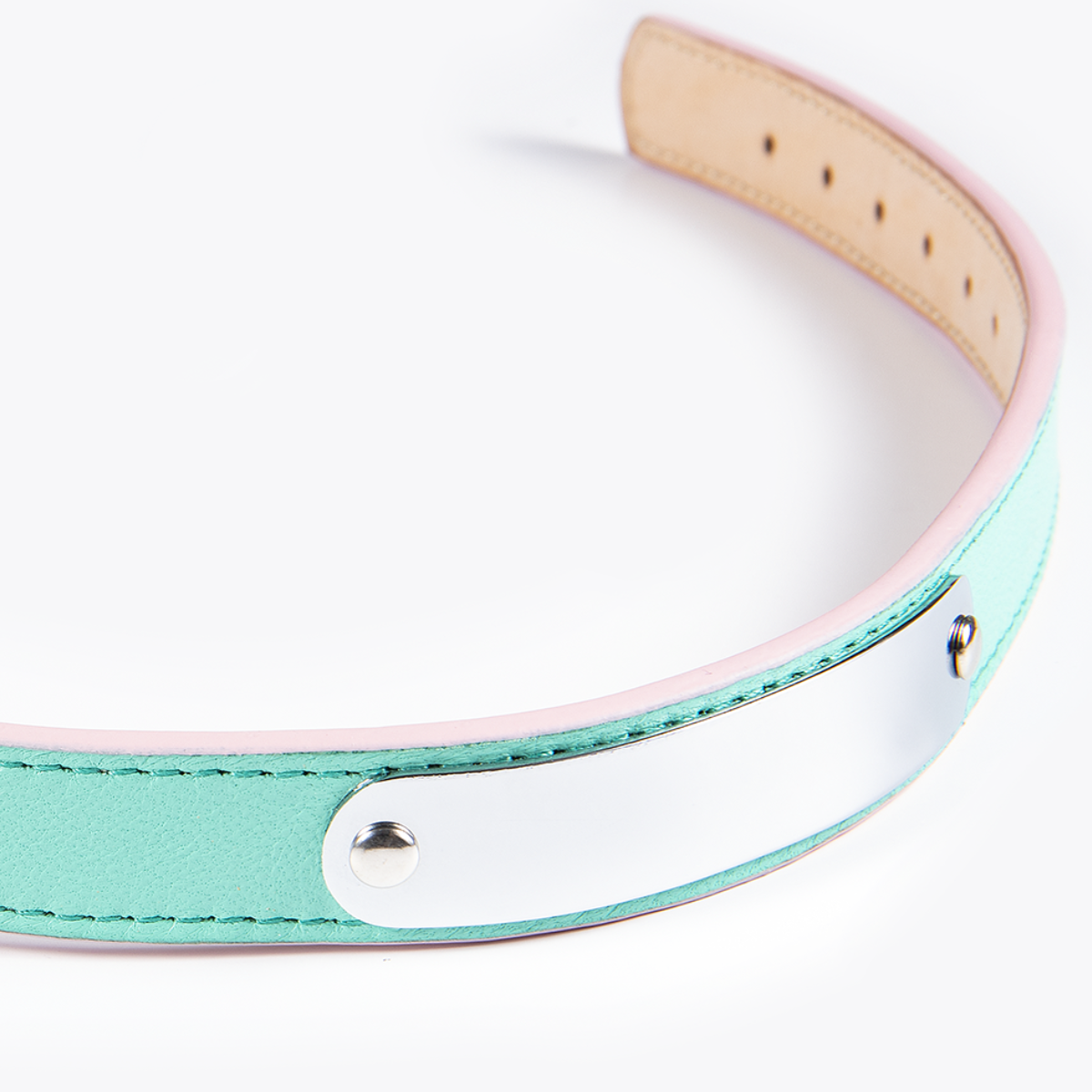 Collar de Identificación Personalizado Menta/Rosa