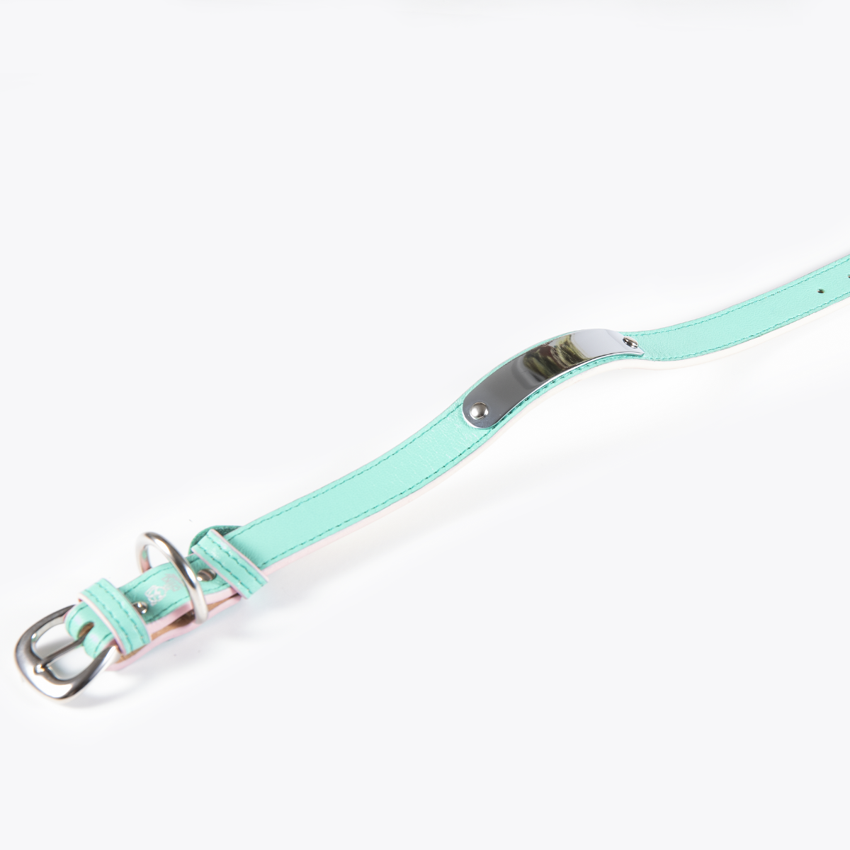 Collar de Identificación Personalizado Menta/Rosa