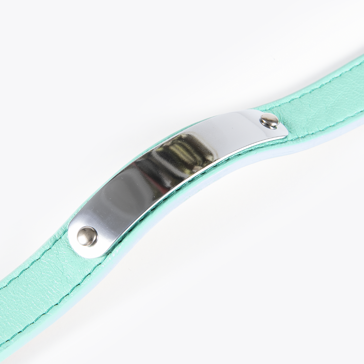 Collar de Identificación Personalizado Menta/Rosa