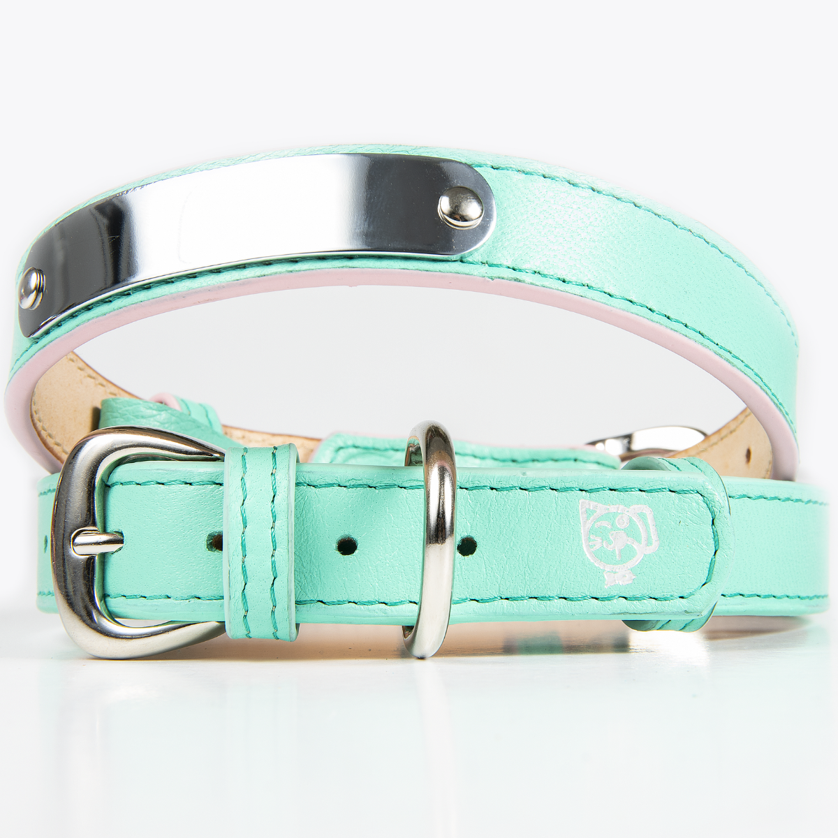 Collar de Identificación Personalizado Menta/Rosa