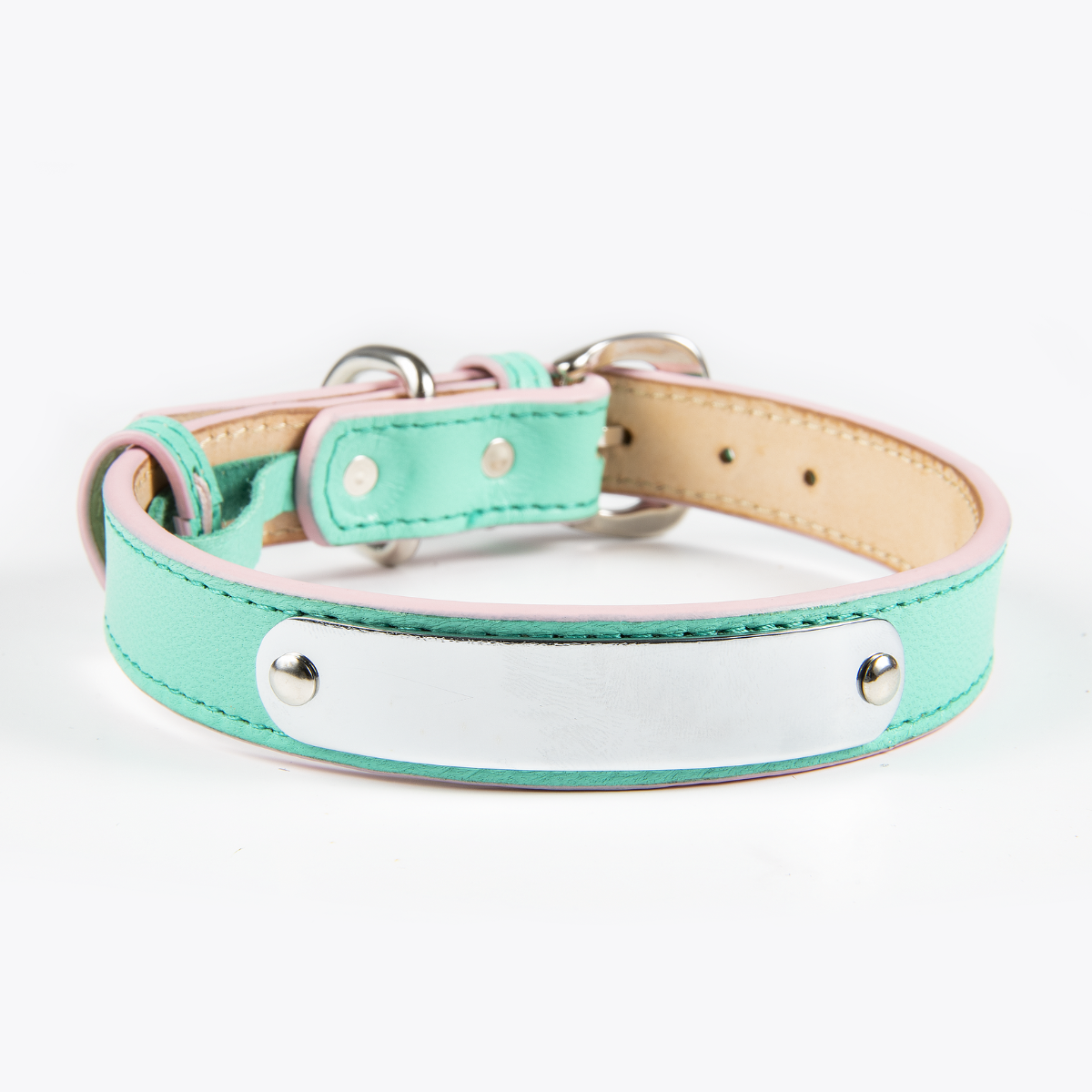 Collar de Identificación Personalizado Menta/Rosa