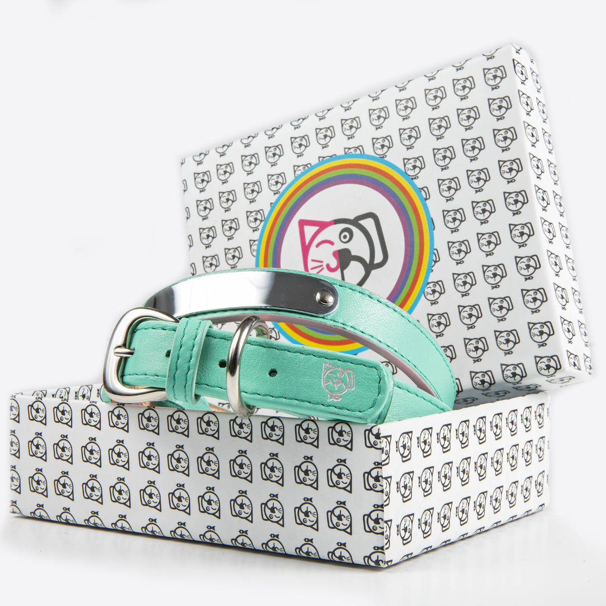 Collar de Identificación Personalizado Menta/Rosa