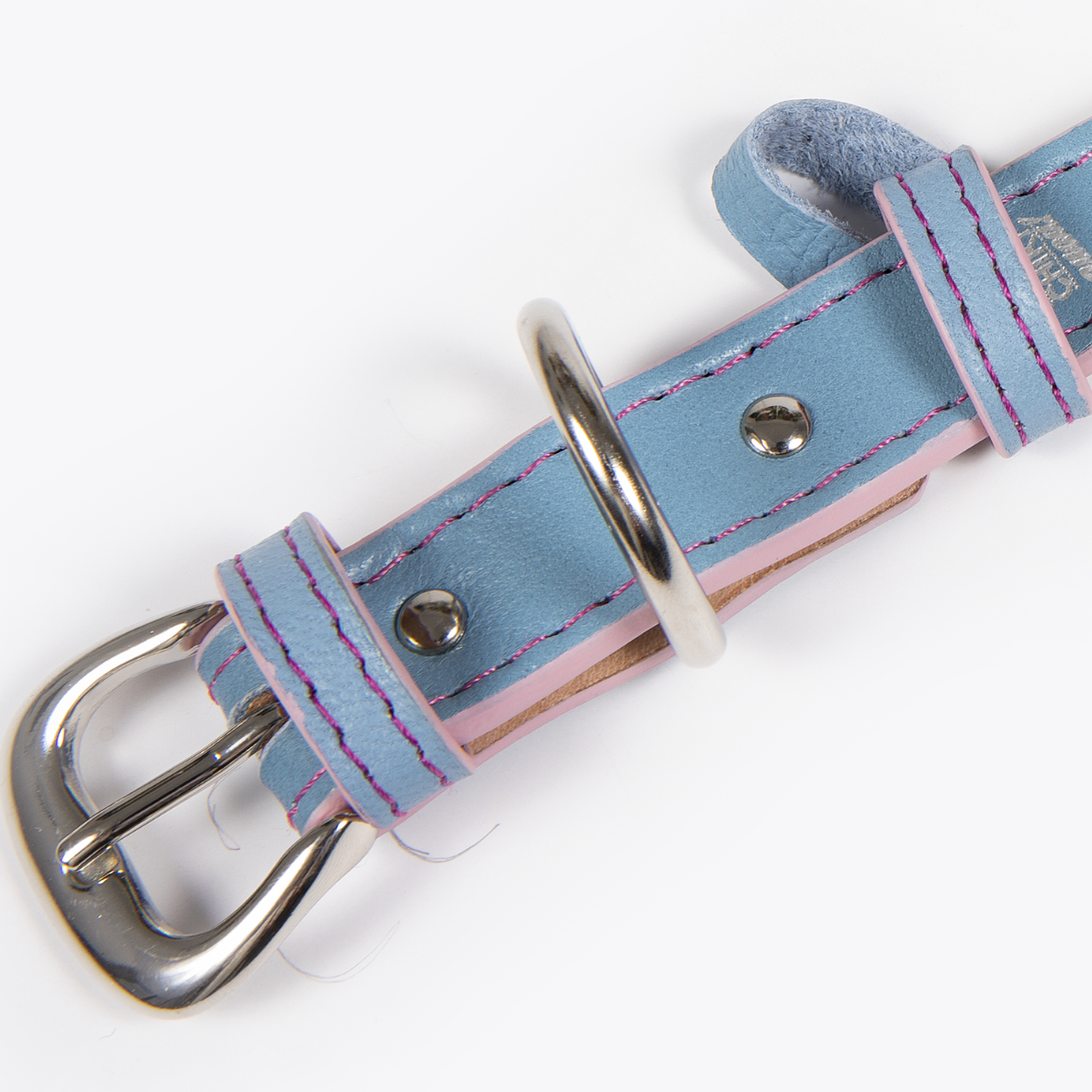Collar de Identificación Personalizado Cielo/Rosa