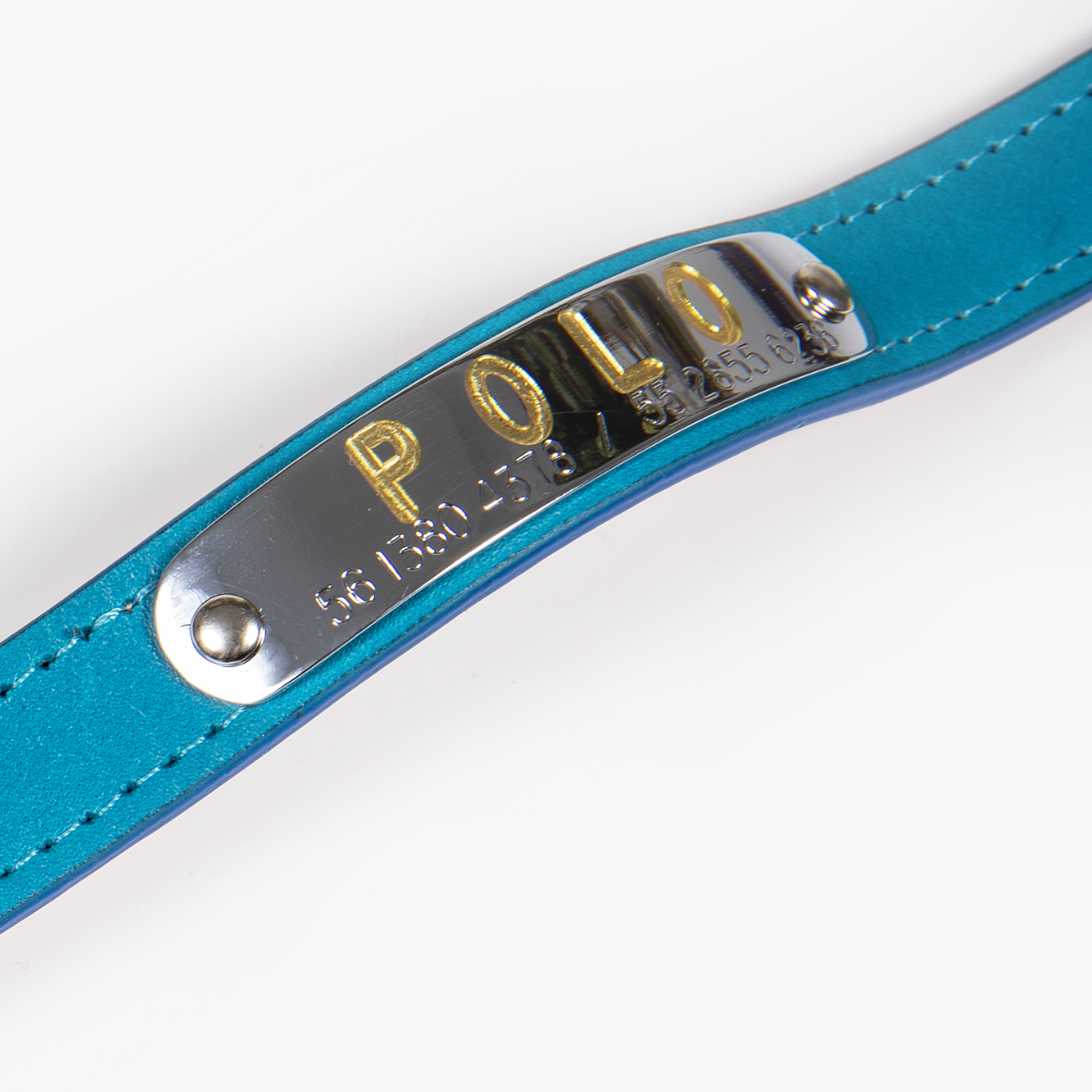 Collar de Identificación Personalizado Turquesa