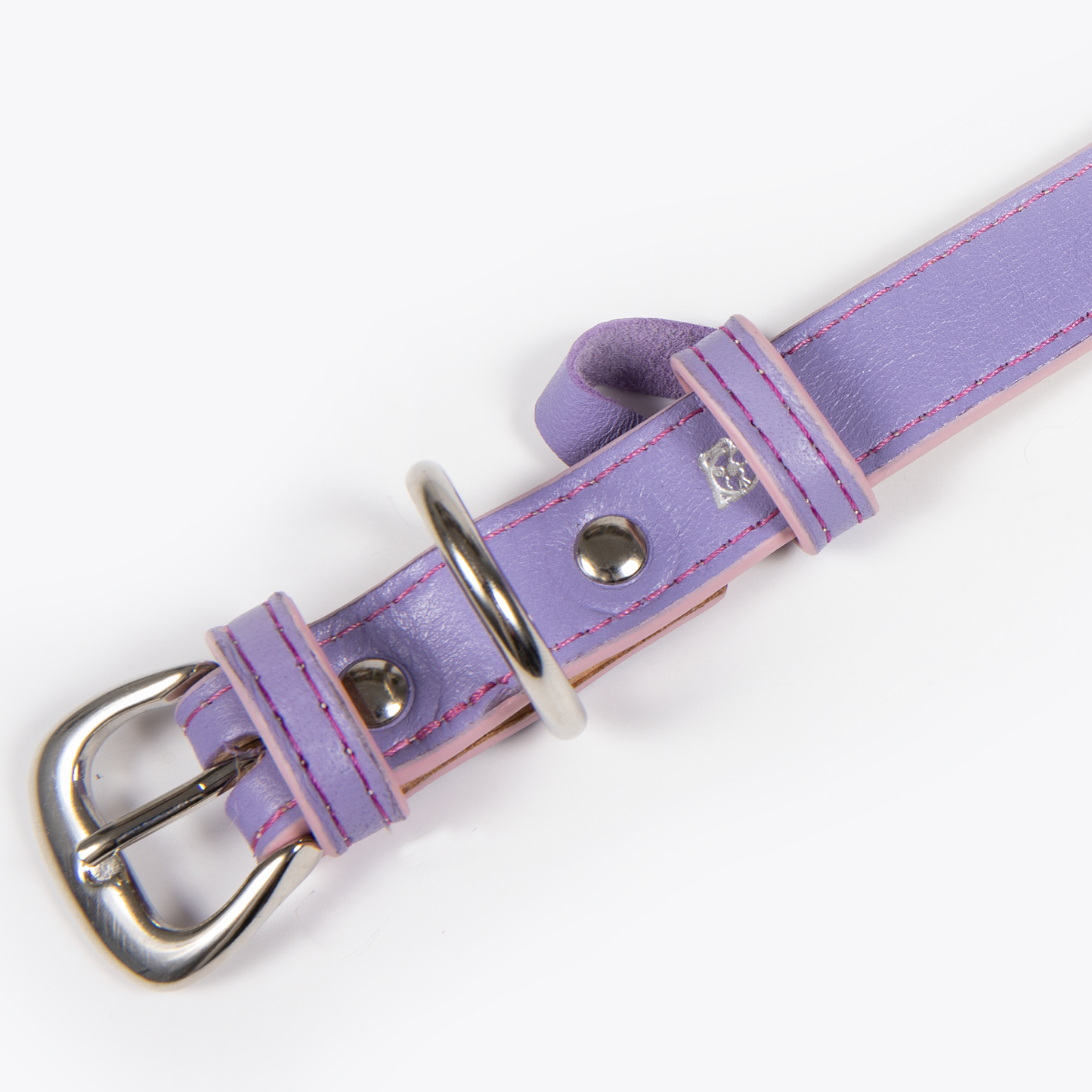 Collar con Placa Lila