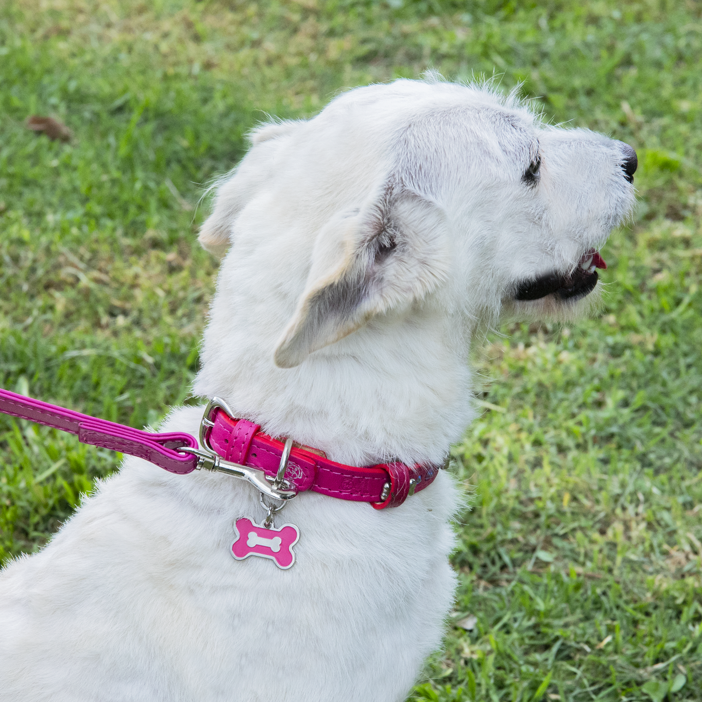 Collar Hueso Metal Hot Pink