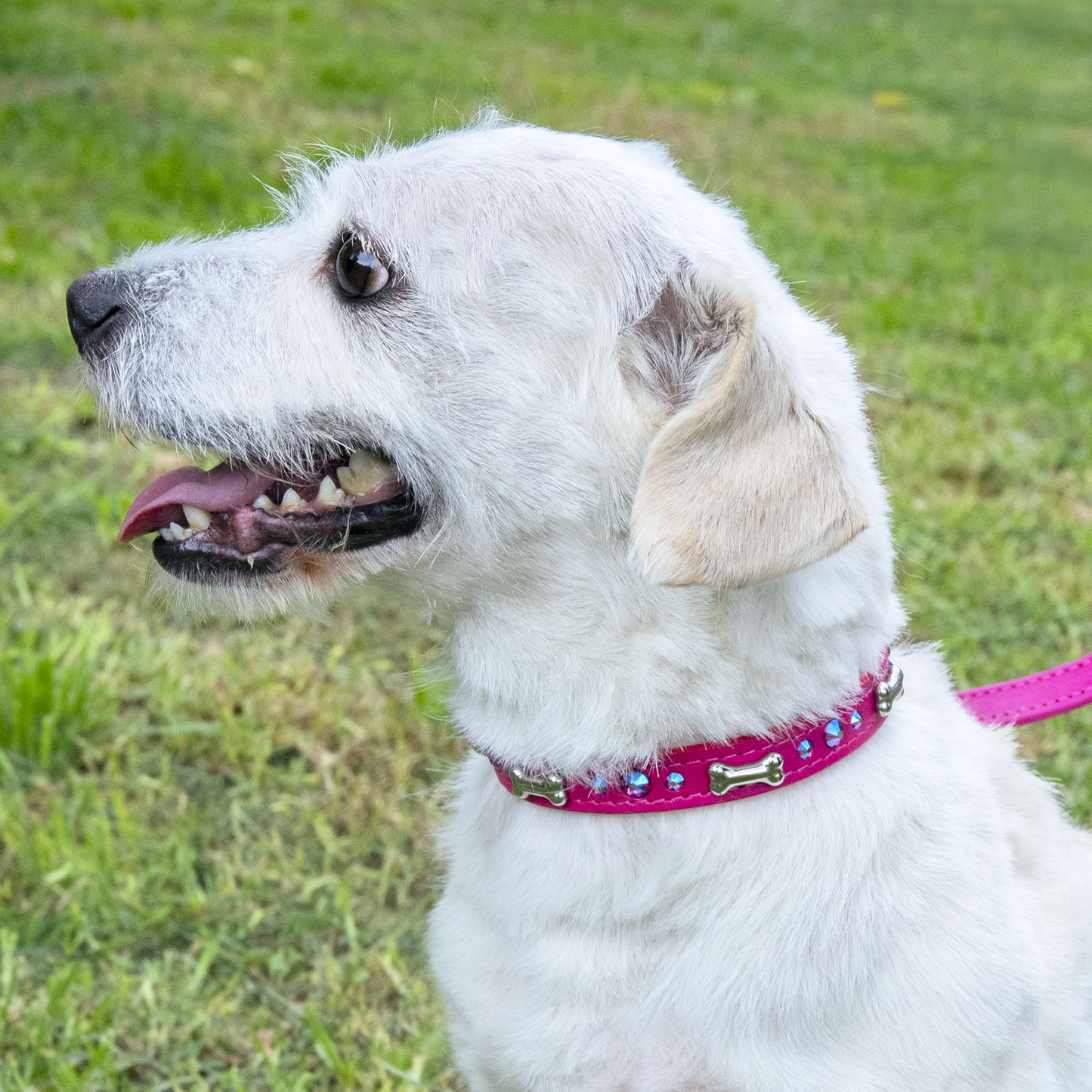 Collar Hueso Metal Hot Pink