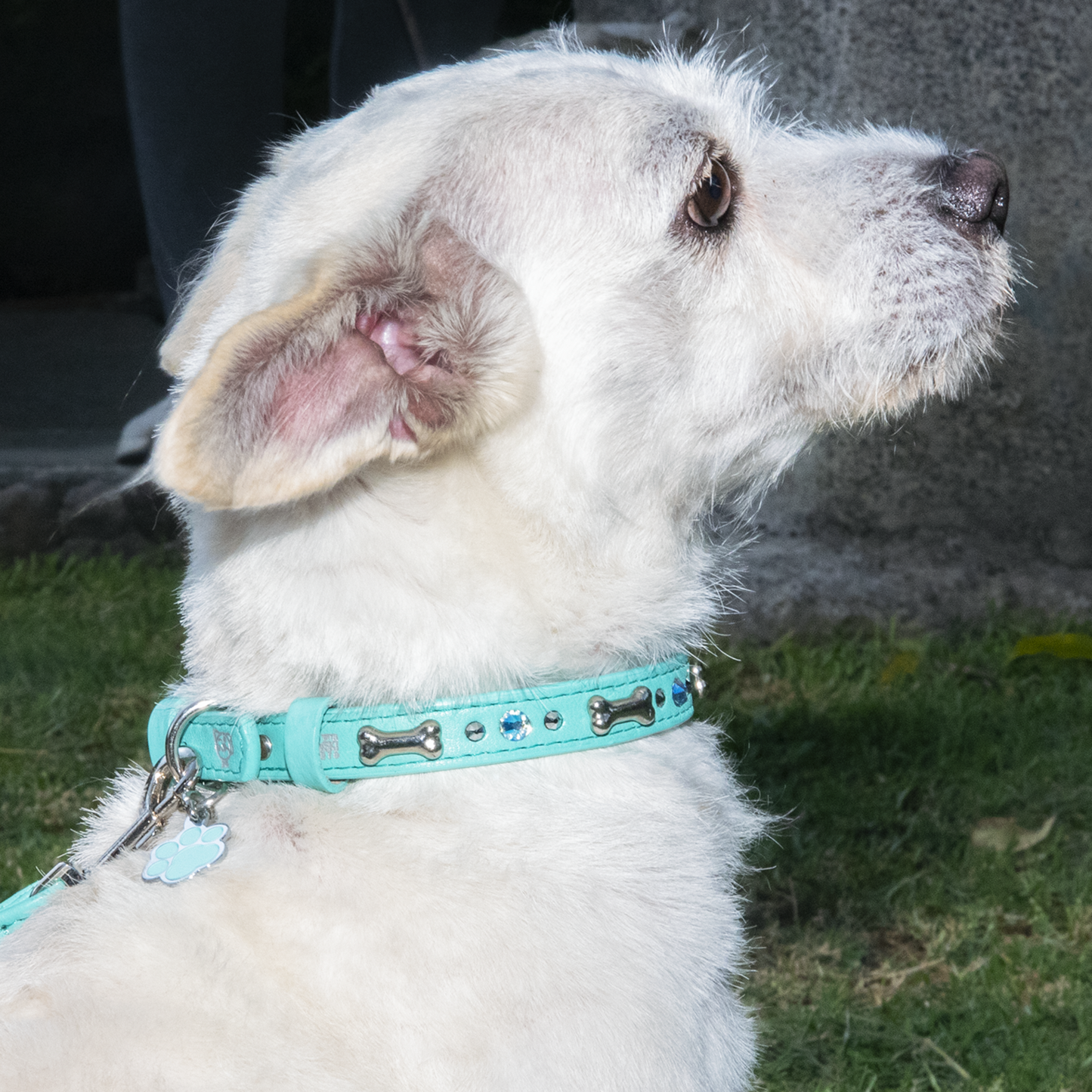 Collar Hueso Metal Menta