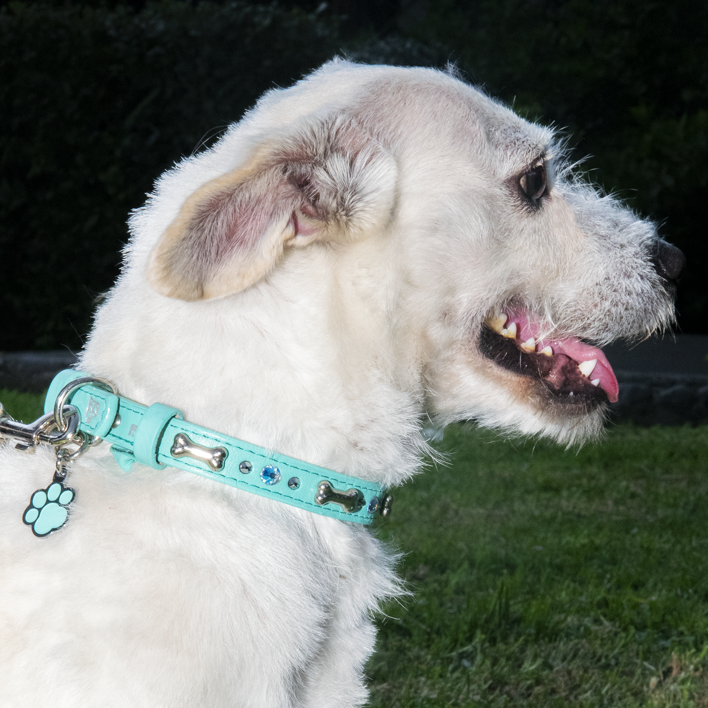 Collar Hueso Metal Menta