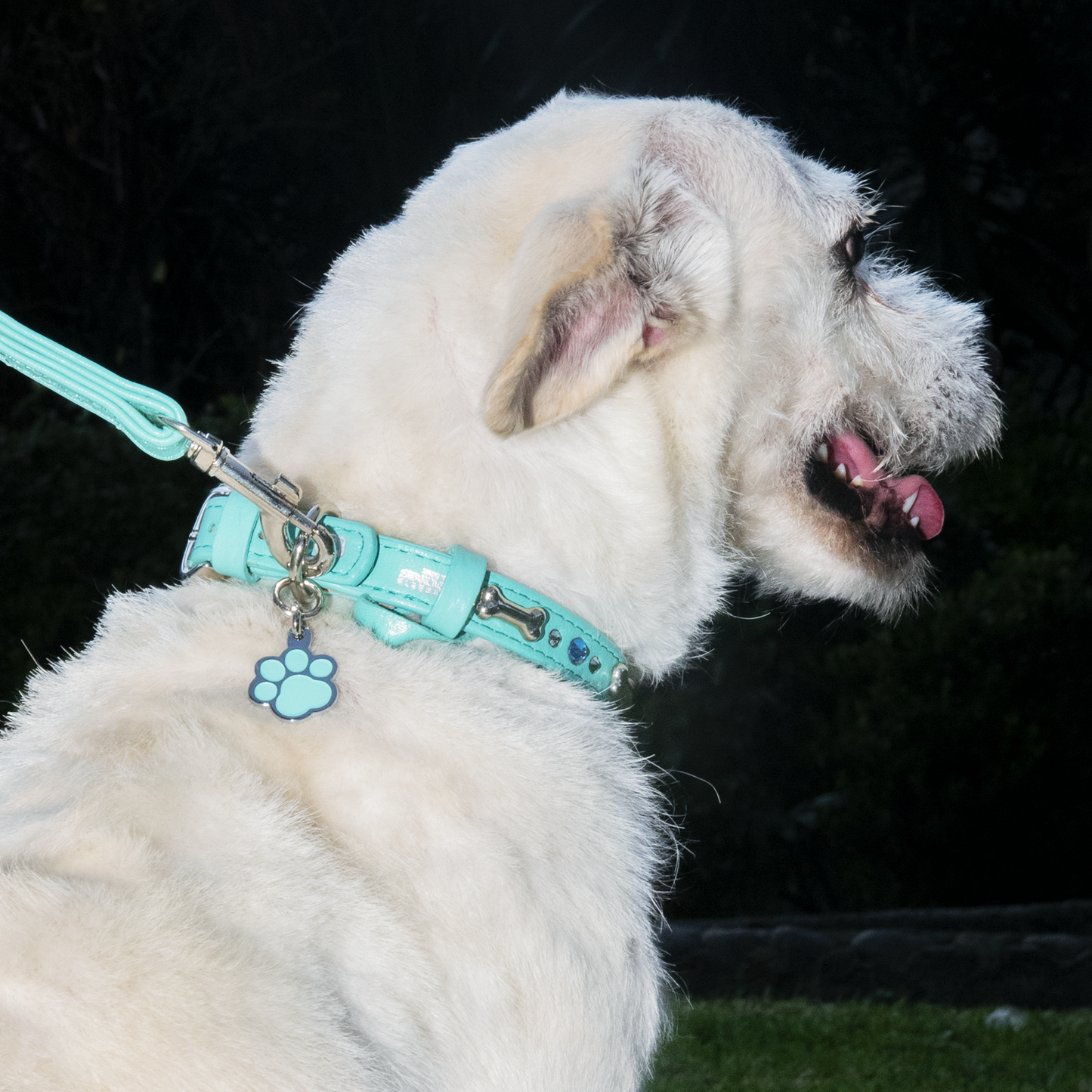 Collar Hueso Metal Menta