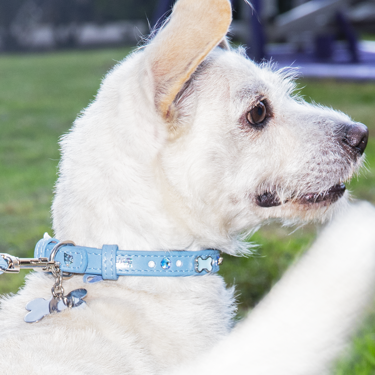 Collar Hueso Azul Cielo