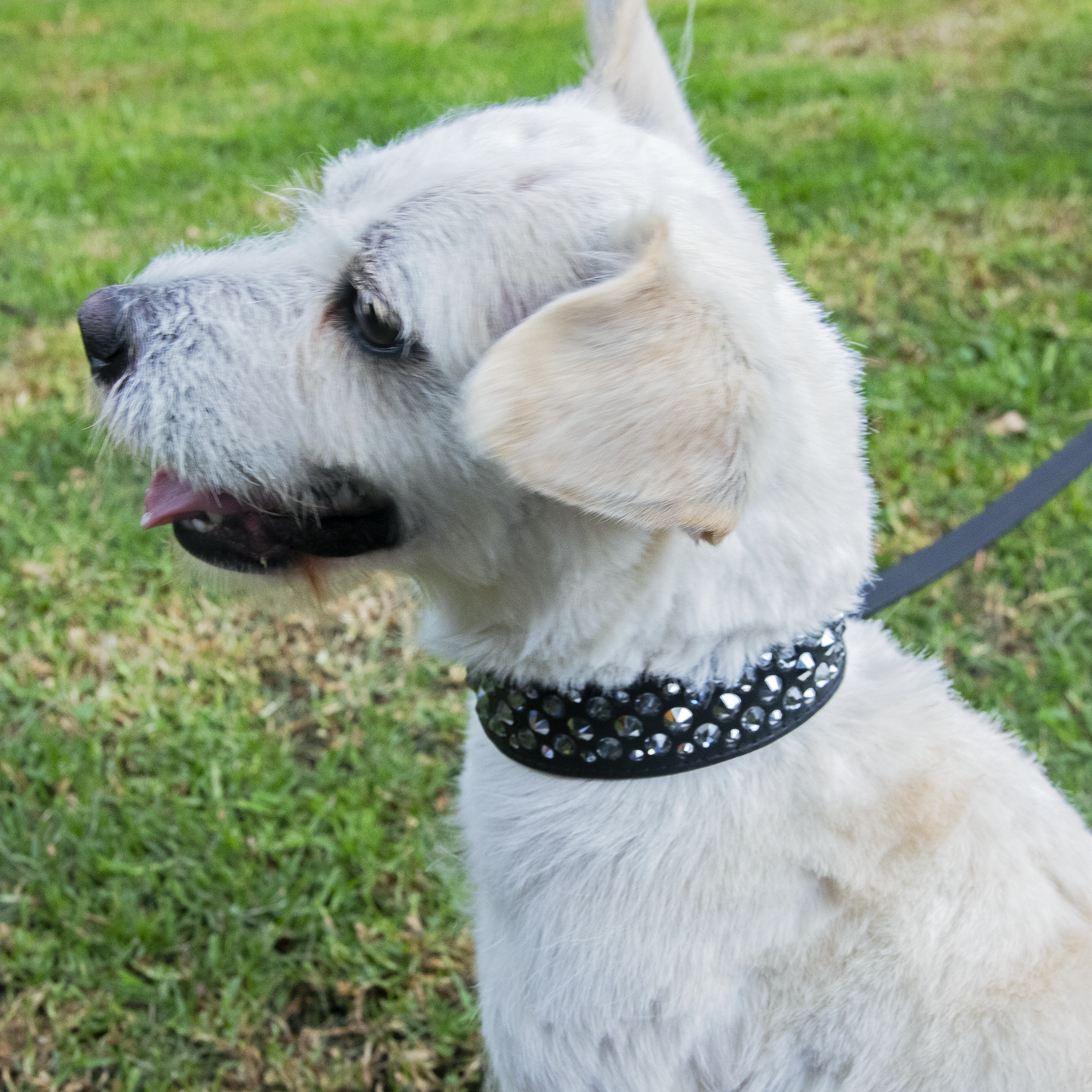 Collar Silver Night