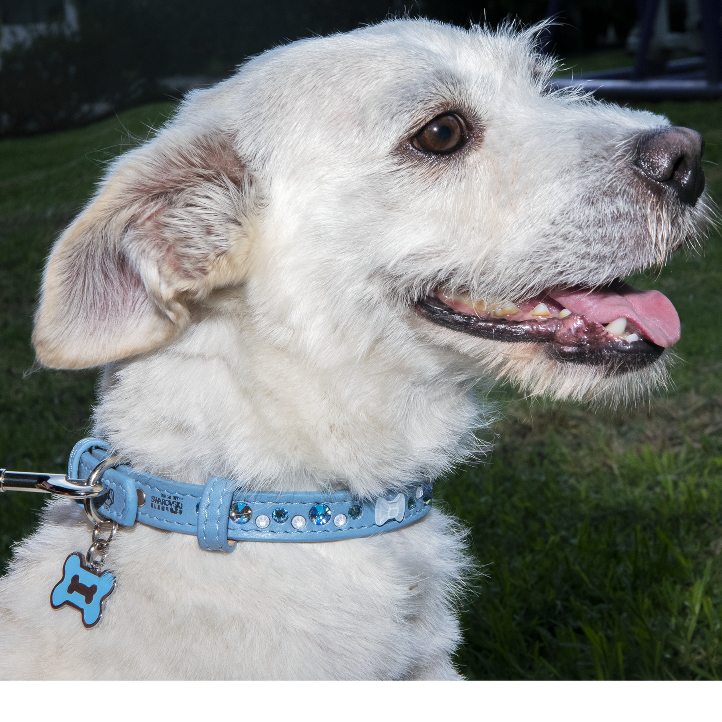 Collar Moño Cristal Azul