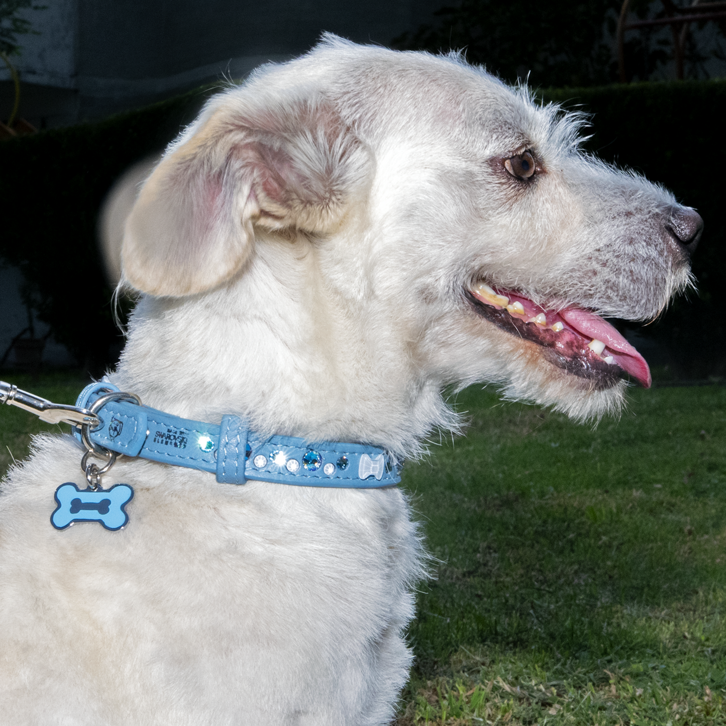 Collar Moño Cristal Azul