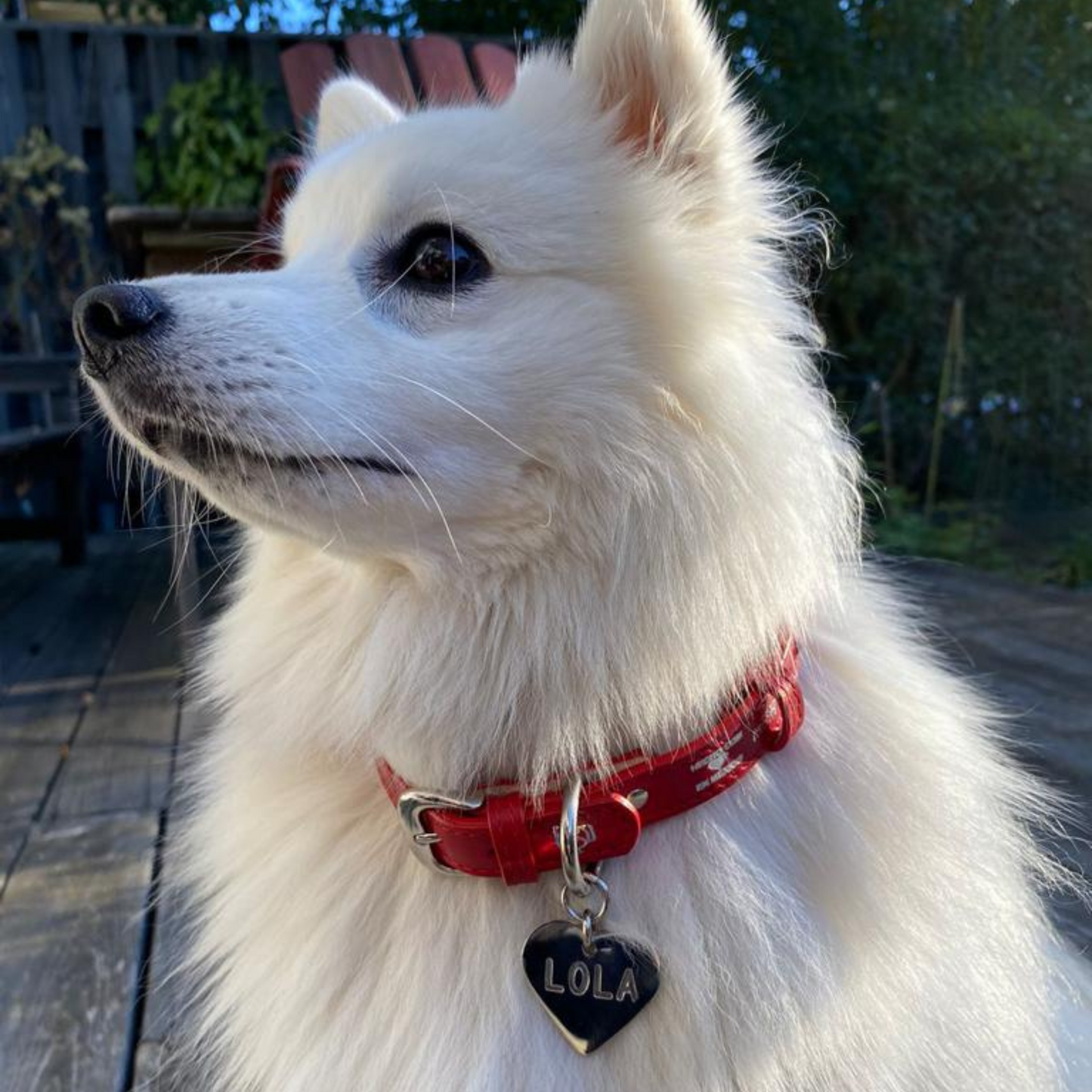 Collar Hueso Rojo
