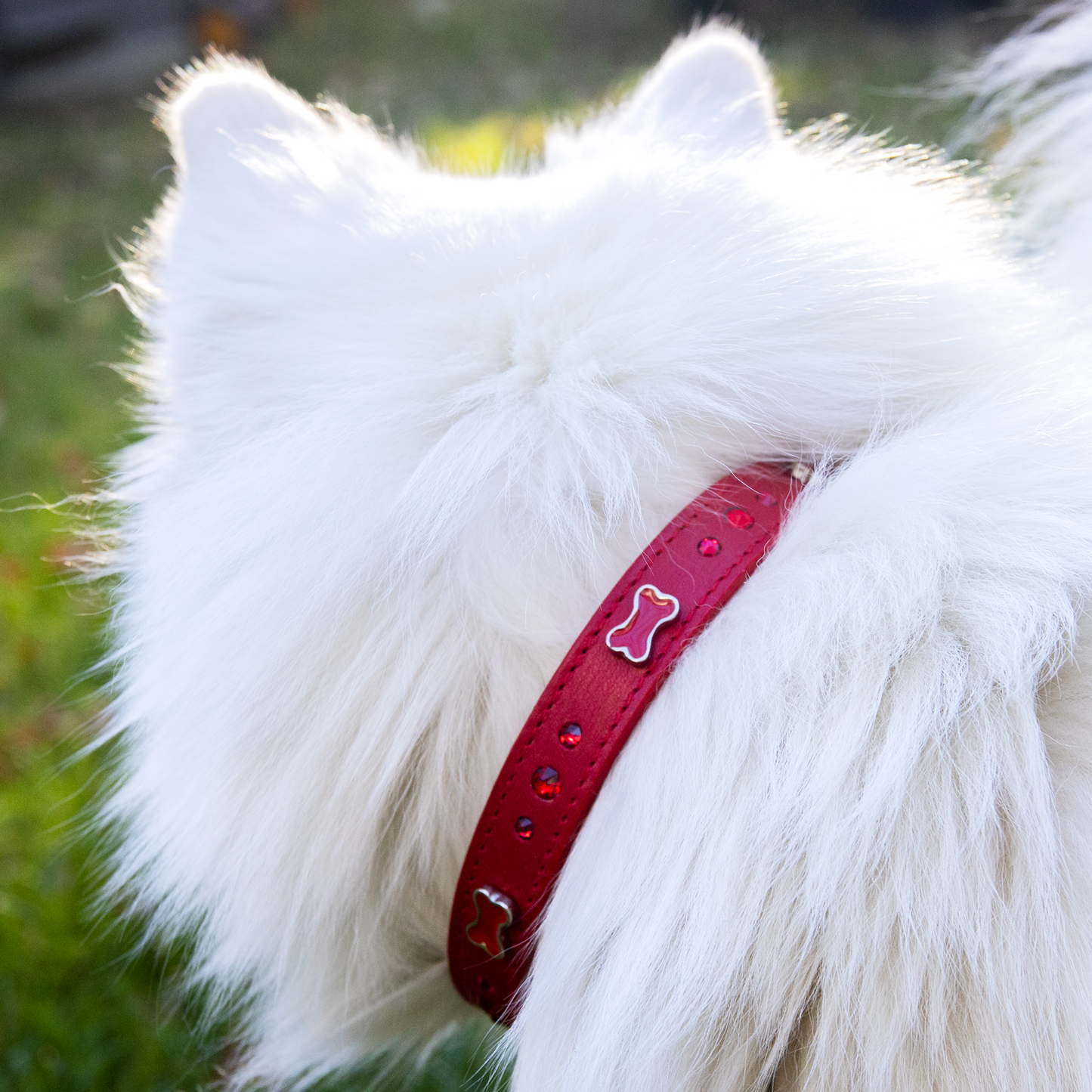 Collar Hueso Rojo