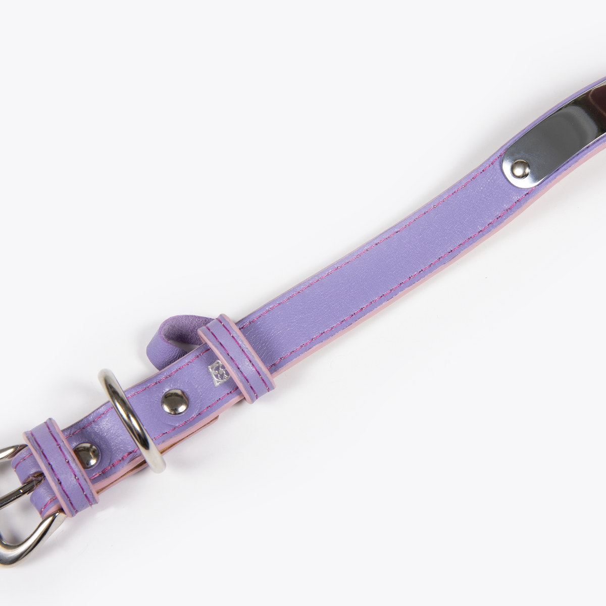 Collar de Identificación Personalizado Lila
