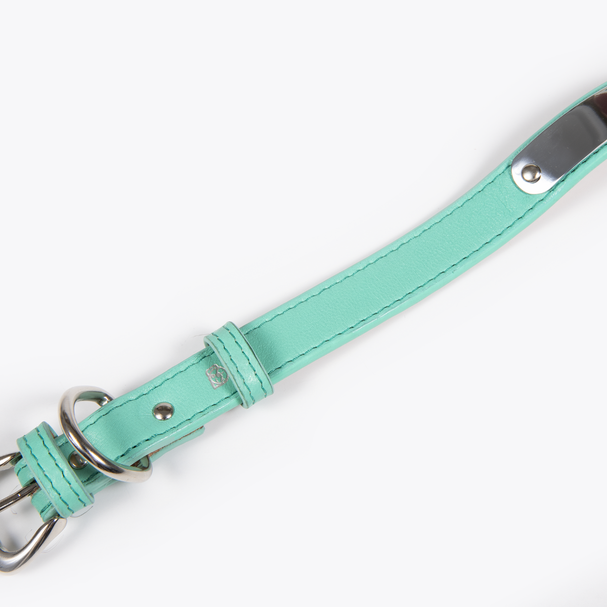 Collar de Identificación Personalizado Menta
