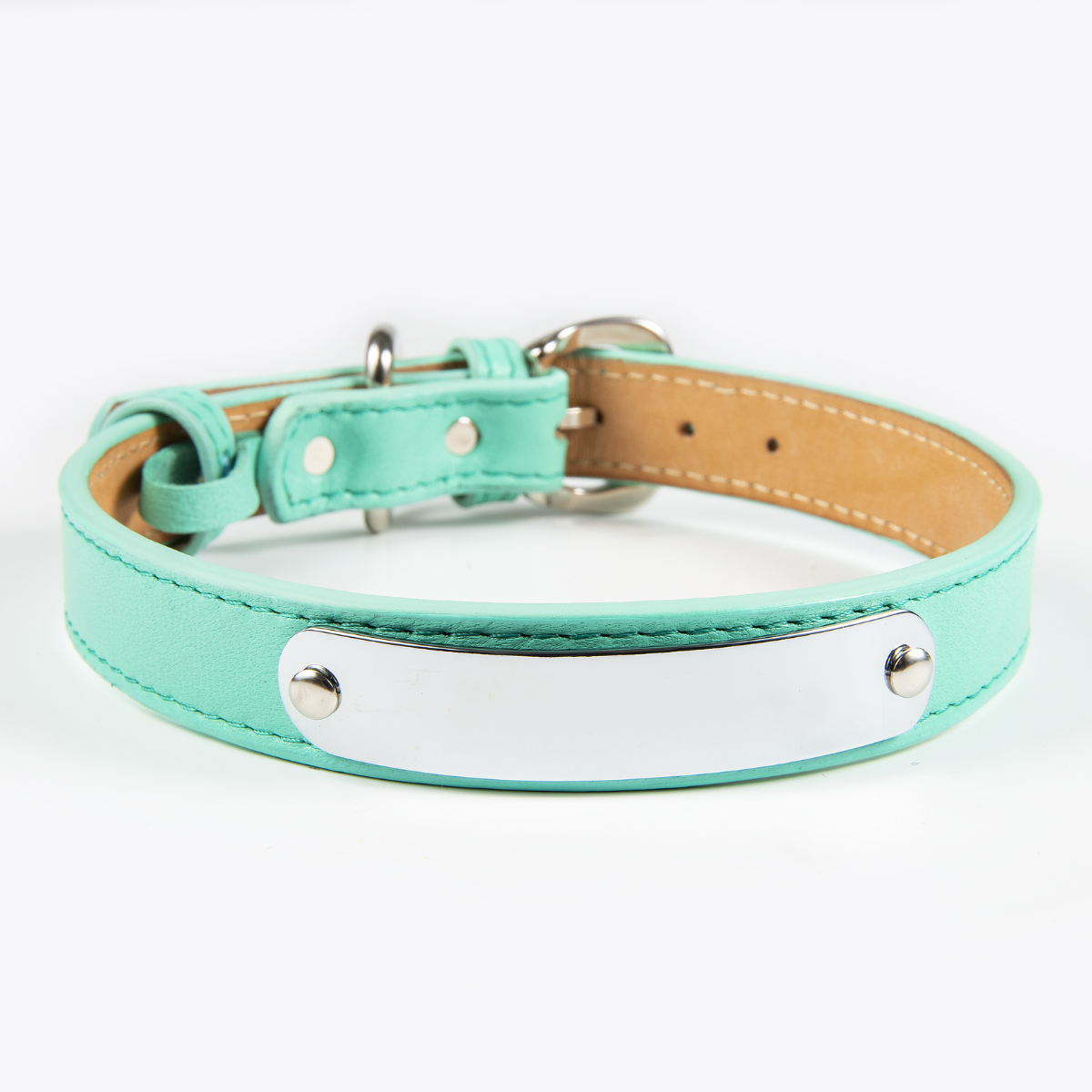 Collar de Identificación Personalizado Menta