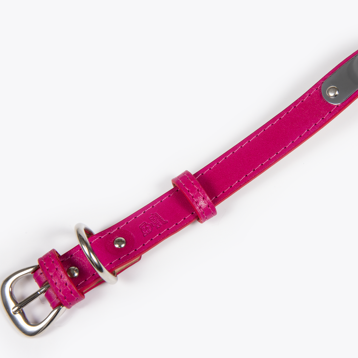 Collar de Identificación Personalizado Hot Pink