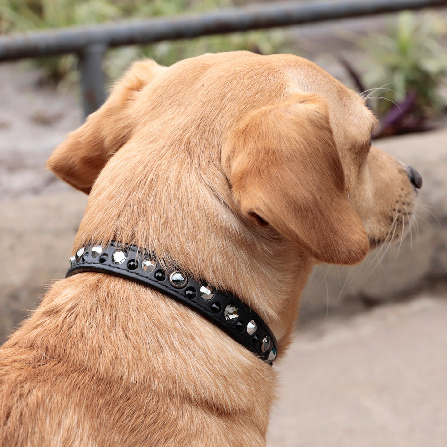 Collar Perla Negra