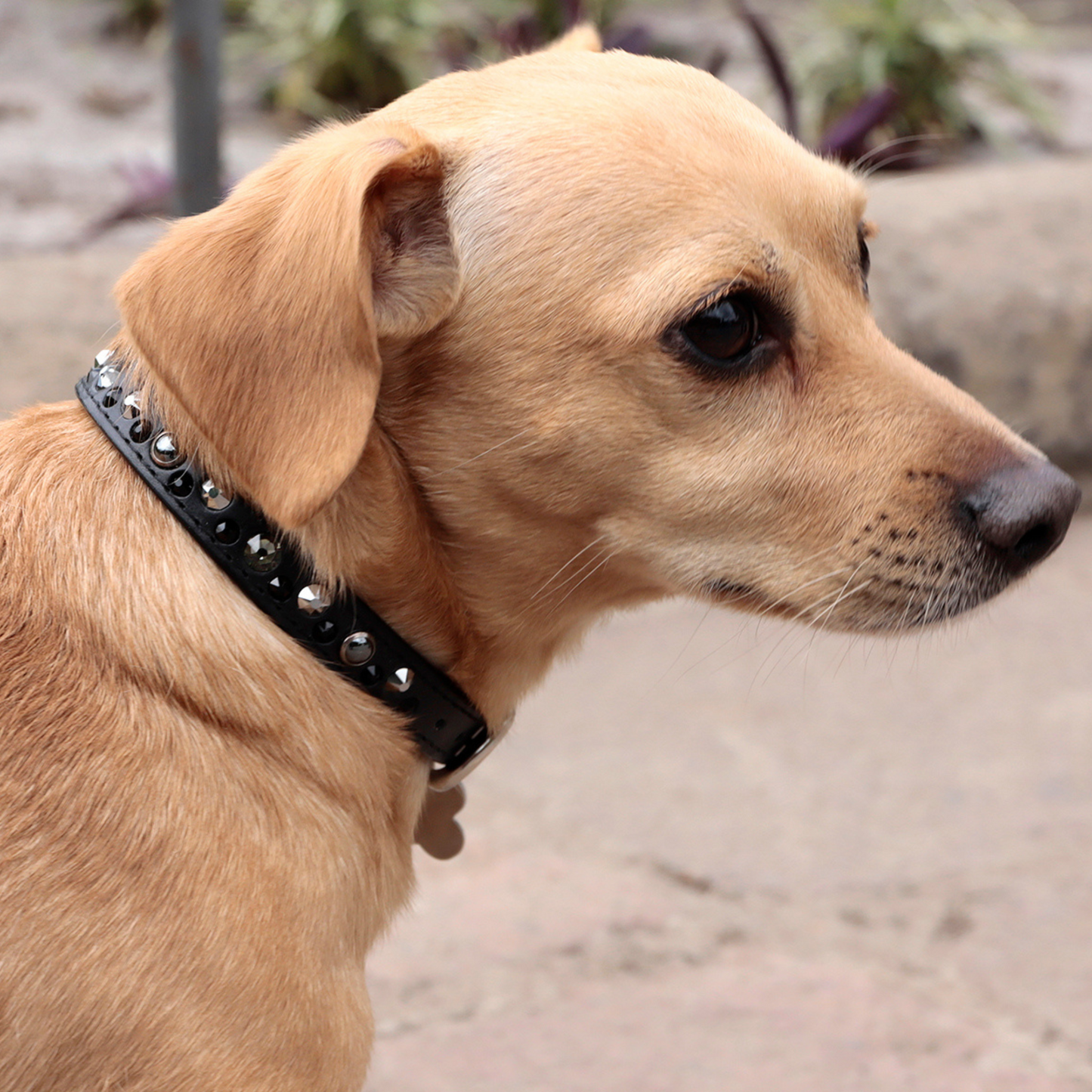 Collar Perla Negra