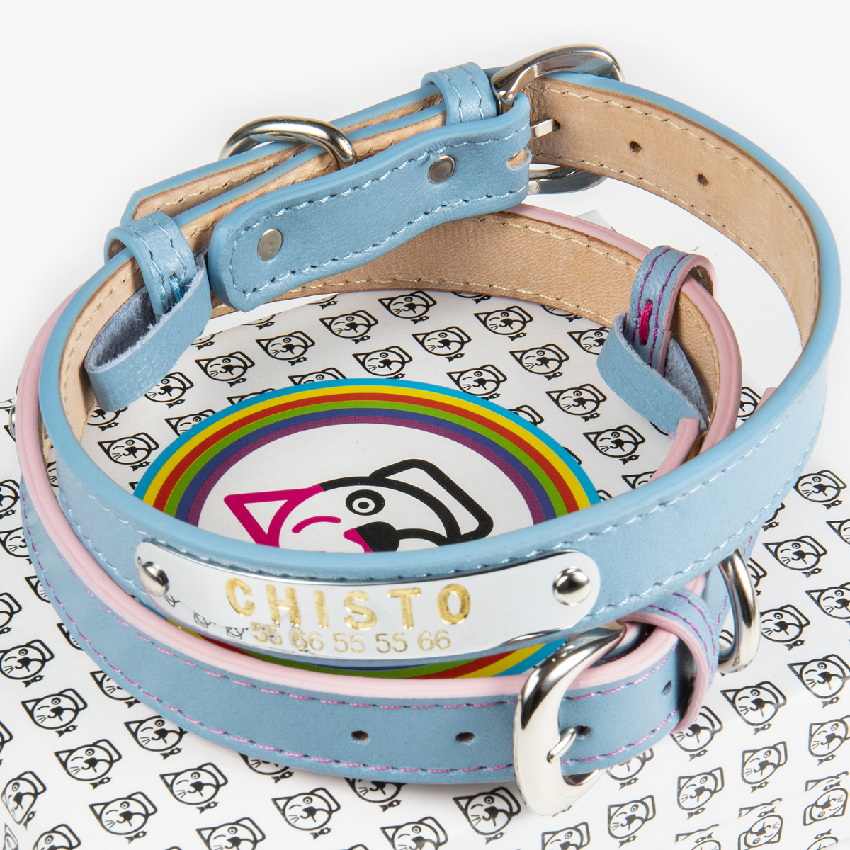 Collar de Identificación Personalizado Azul Cielo