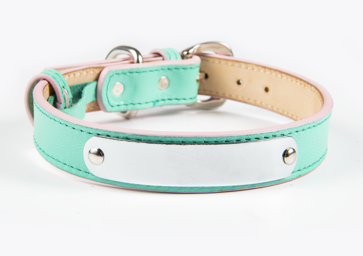 Collar de Identificación Personalizado Menta/Rosa