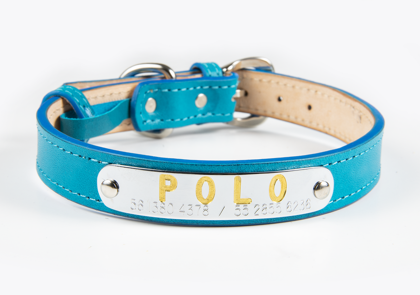 Collar de Identificación Personalizado Turquesa