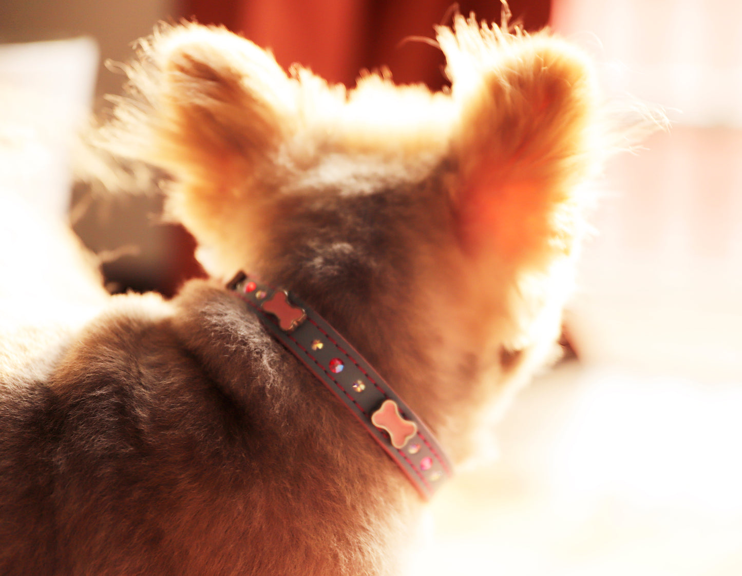 Collar Hueso Cielo/Rosa