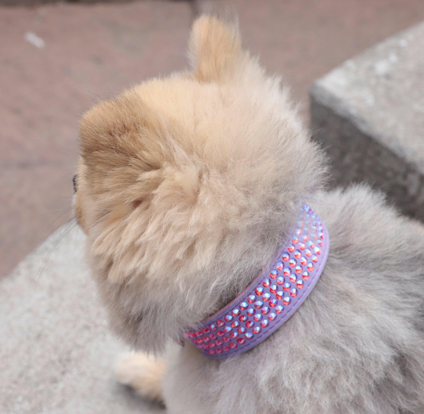 Collar DeLuxe Lila