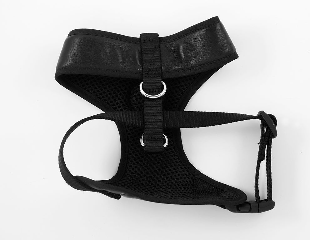 Pechera Classic Negra