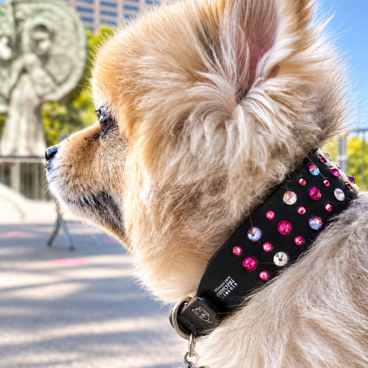 Collar Hot Topic