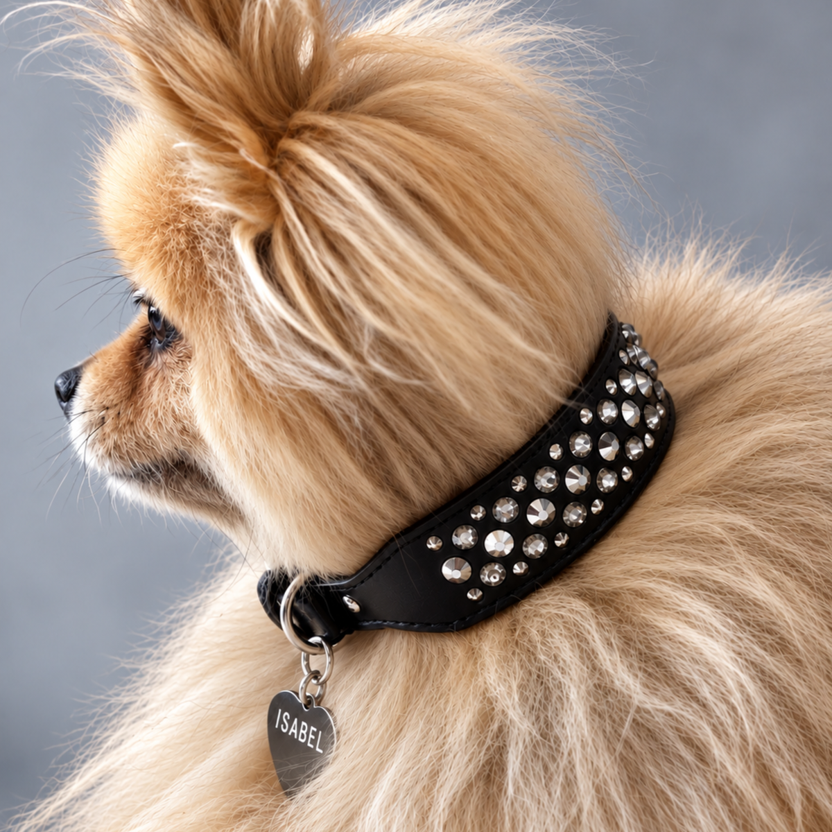 Collar Silver Night
