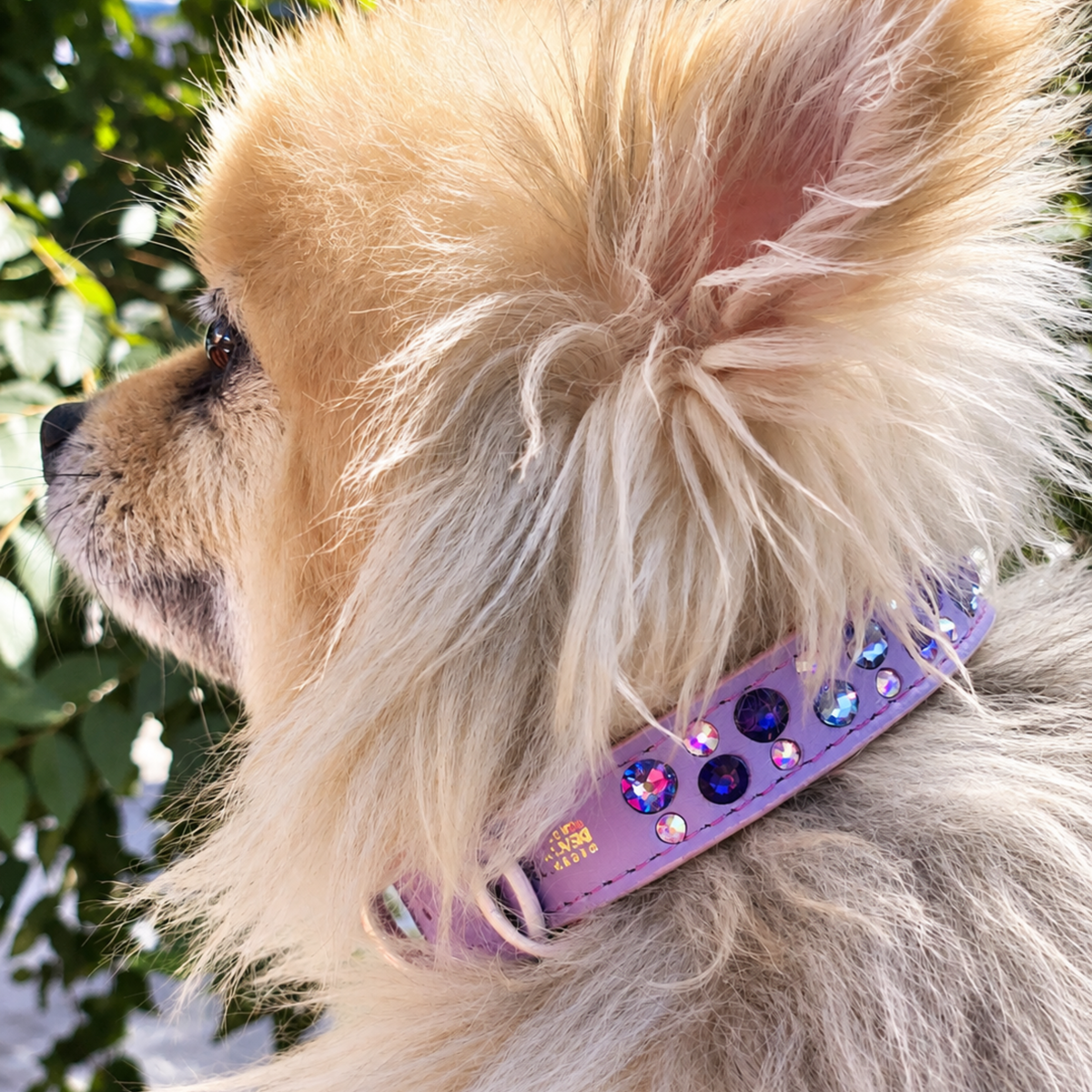 Collar Trypoli Lila