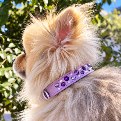 Collar Trypoli Lila