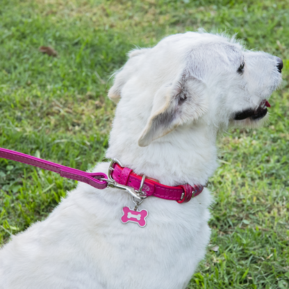 Collar con Placa Hot Pink