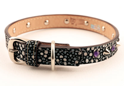 Collar Stingray