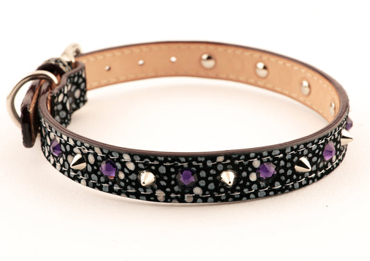 Collar Stingray