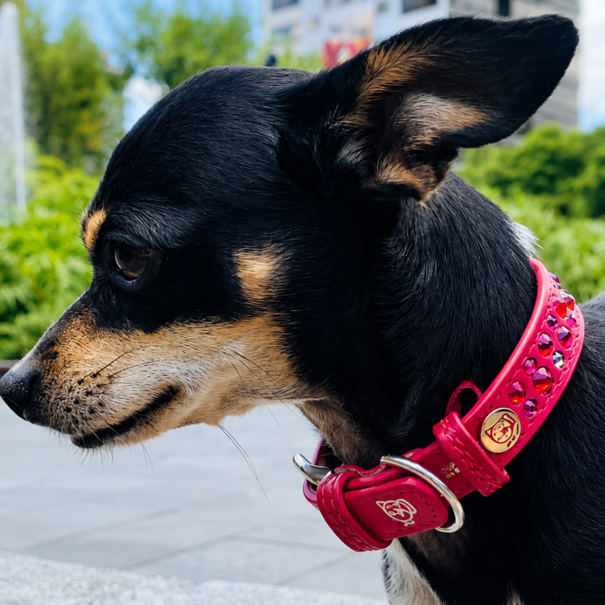 Collar Trypoli Rojo