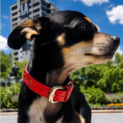 Collar Trypoli Rojo