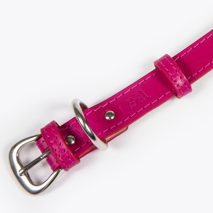 Collar con Placa Hot Pink