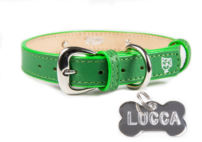 Collar con Placa Verde